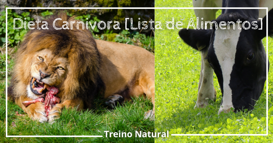 Dieta Carnívora Lista de Alimentos