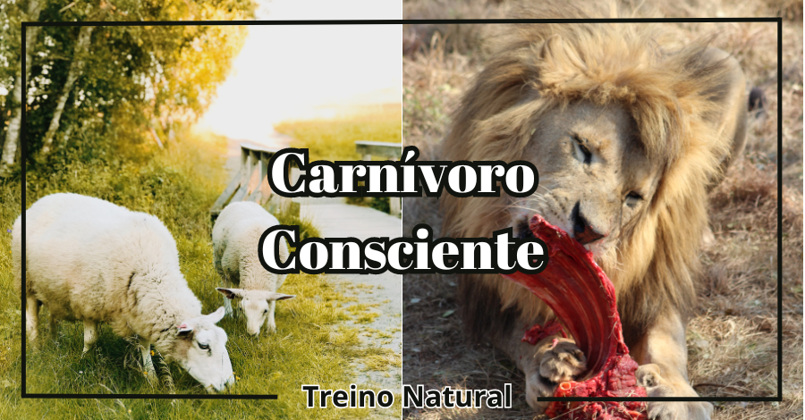 Dieta Carnívora Antes e Depois